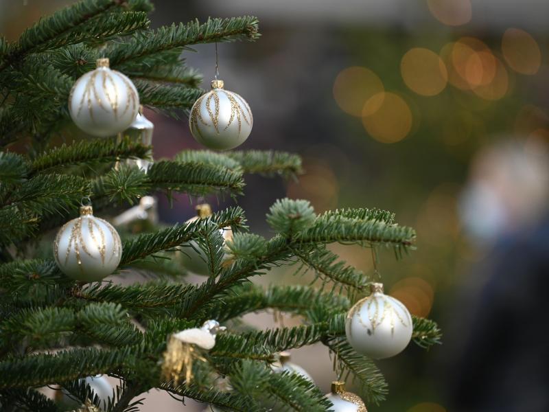 Weihnachtsbaumverkauf für den guten Zweck in Kutenholz Zu Weihnachten gehört für viele auch ein dekorierter Baum. Foto: Marijan Murat/dpa