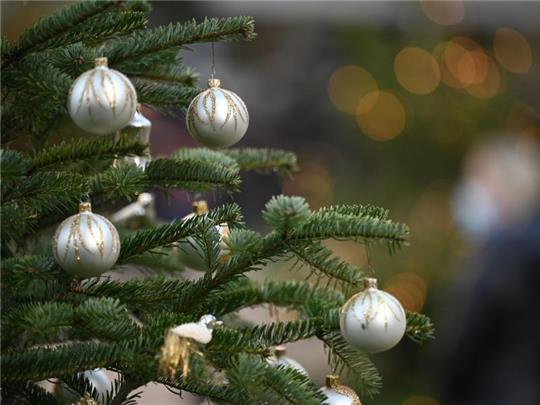 Zu Weihnachten gehört für viele auch ein dekorierter Baum. Foto: Marijan Murat/dpa