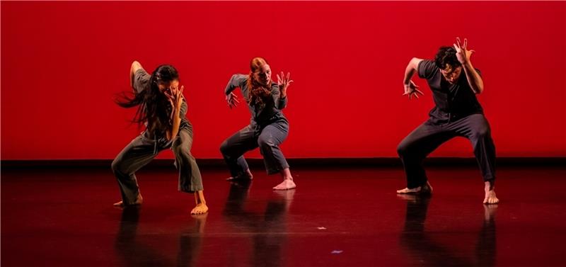 Theater mit Neinhorn und Trashedy im Stadeum Zu der Aufführung von Danceworks Chicago bietet Tanzpädagogin einen Workshop. Foto: Richard Finkelstein