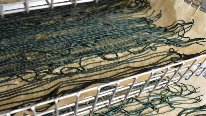 Landwirte stellen Betrieb um: Algenzucht anstatt Schweinemast Zu langen dünnen Würsten gepresst, trocknen die Spirulinaalgen.