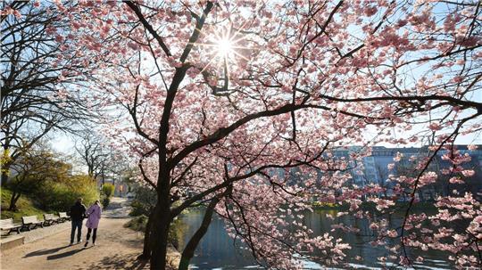 Zu sonnig, zu warm und zu trocken - so lautet die Bilanz des Deutschen Wetterdienstes für den April in Hamburg. (Archivbild)