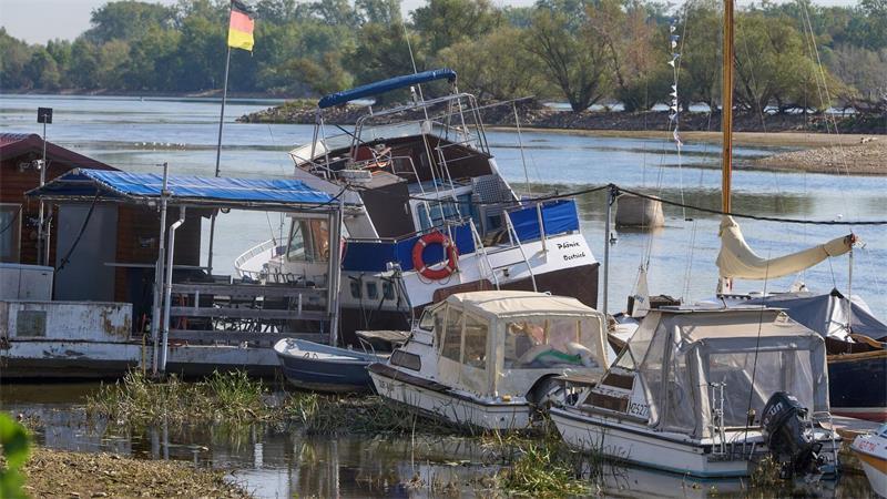 Zu wenig Wasser: Bei Oestrich-Winkel im hessischen Rheingau liegen Sportboote auf dem Grund des Rheins. 