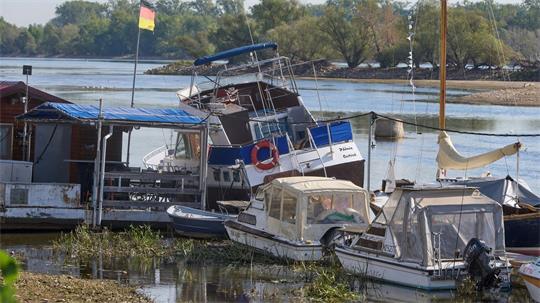 Zu wenig Wasser: Bei Oestrich-Winkel im hessischen Rheingau liegen Sportboote auf dem Grund des Rheins. 