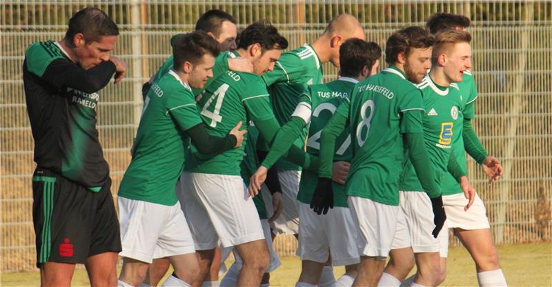 Zufriedene Gesichter beim TuS Harsefeld: Hier freuen sich die Fußballer über die 1:0-Führung kurz vor der Pause. Foto Bröhan