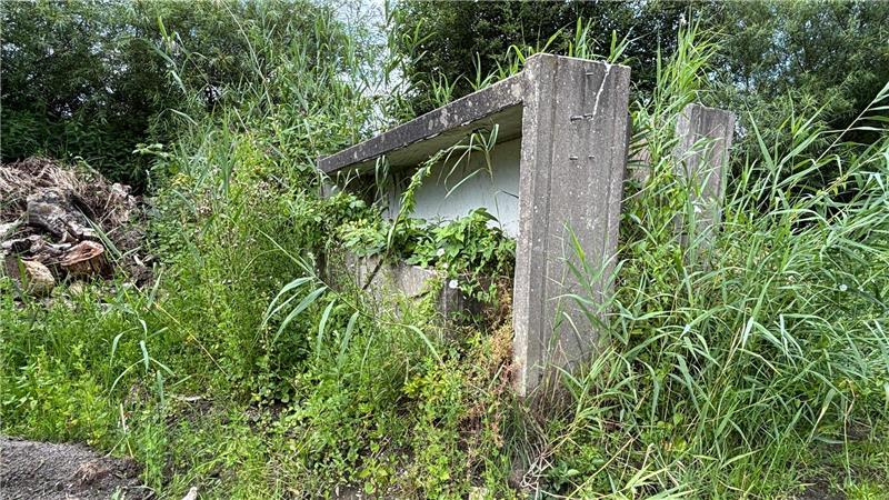 Nach 13 Jahren: Ramponierte Sturmflut-Stele soll wieder im Alten Land stehen Zugewachsen: 13 Jahre liegt das Beton-Kunstwerk auf dem Bauhof in Sandhörn.