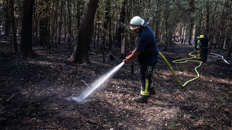 Merz in Waldbrandgebiet: „Das ist Klimawandel“ Zuletzt musste die Feuerwehr im Hürtgenwald nur noch Glutnester löschen. (Archivbild)