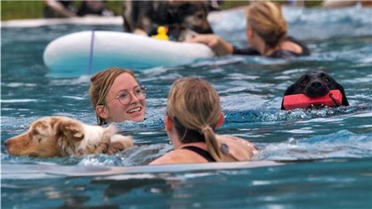 Zuletzt verwandelten die Best Buddy Games 2023 das Horneburger Freibad in ein Badeparadies für Mensch und Tier.
