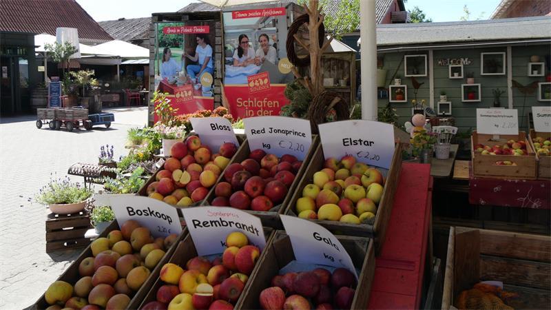 Schuback in Jork: Sommer-Auszeit unter Obstbäumen Zum Abschied können die Gäste sich mit Obst für zu Hause versorgen.