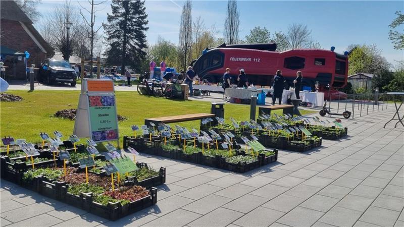 Zum Frühlingsfest in Hammah ist das Angebot breit gefächert und reicht von Stauden bis Kunsthandwerk.