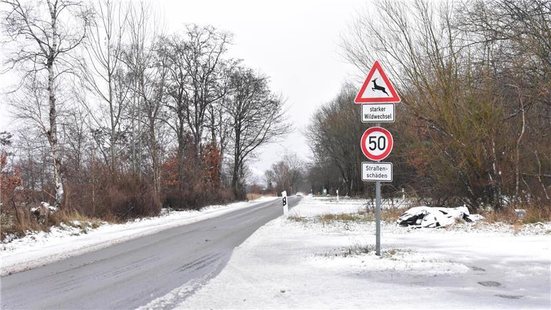 Schneefall am Hagener Weg.
