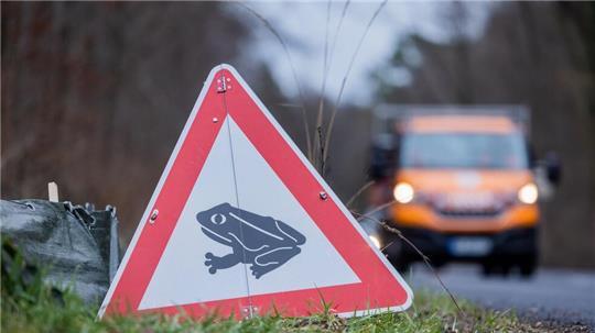 Zum Laichen wandern die Tiere meistens zu dem Gewässer, in dem sie selbst geboren sind (Archivbild).