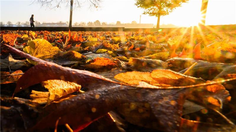 Zum Oktoberbeginn zeigt sich der Herbst von seiner besten Seite. (Symbolbild)
