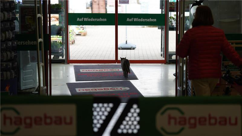 Zum Schlafen verlässt Lotti den Markt.