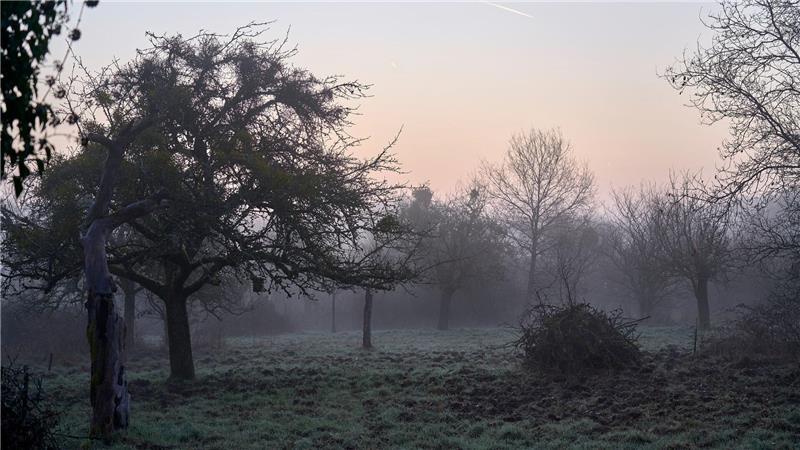 Ein Mal Sonne tanken – bis zu 23 Grad in Deutschland Zum Sonnenaufgang war’s zum Teil noch neblig - wie hier in Wiesbaden.
