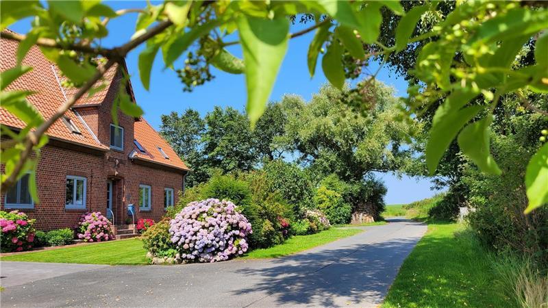 Zum Sonnenuntergang oder auch tagsüber: Am malerischen alten Zollhaus in Misselwarden führt der Weg vorbei zum nahe gelegenen Deich und dem dahinter liegenden Wattenmeer. Wie das mit Geheimtipps so ist: Eine touristische Infrastruktur mit Parkmöglichkeiten für Autos gibt es hier nicht.