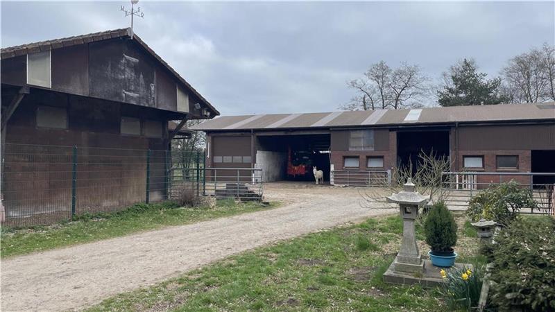 Nachfolger mit Herz gesucht: Gnadenhof „Pferdeoase“ steht vor dem Aus Zum Wohnhaus gehören mehrere Ställe und 62 Hektar Land.