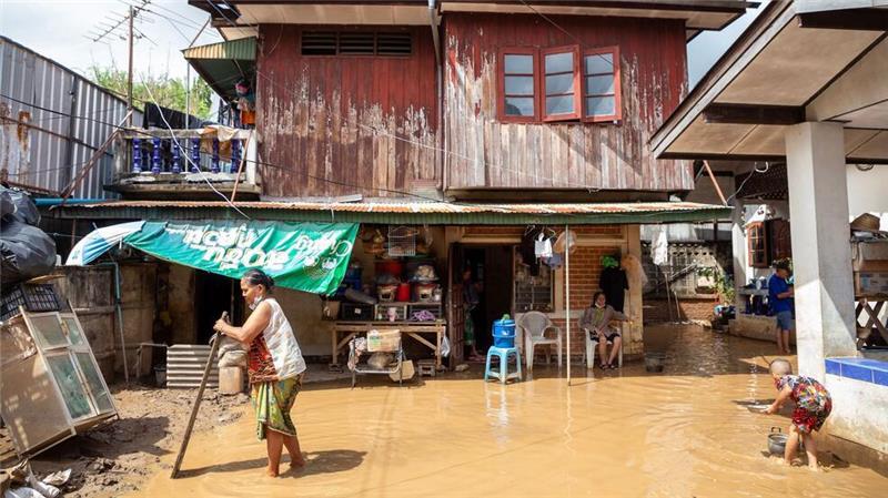 Rekordfluten in Chiang Mai - viele Elefanten in Gefahr Zum zweiten Mal innerhalb weniger Tage steht die Tempelstadt unter Wasser.
