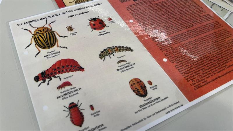 Was Kartoffelkäfer und Ziegenböcke über Harsefelds Geschichte erzählen Zur Unterscheidung von Kartoffel- und Marienkäfern wurde nach dem Zweiten Weltkrieg dieses Plakat erstellt.