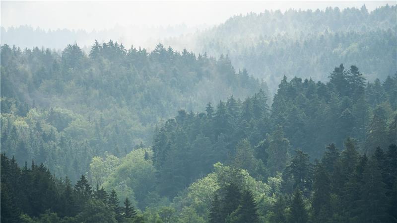 Zur Wochenmitte hat das verregnete Wetter voraussichtlich ein Ende. 