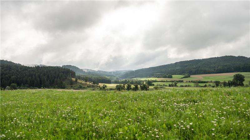 Zur Wochenmitte hat das verregnete Wetter voraussichtlich ein Ende. 