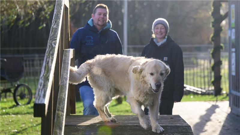Zusätzlich bietet Cramer auch anderen sozialen Höfen oder Einrichtungen bezahlbare Hilfe an – so hat Ergotherapeutin Nina Steinberg eine Ausbildung bei ihm genossen. (Archivbild)