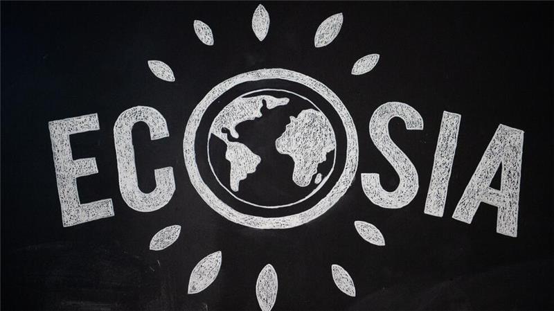 Zusammen mit der Suchmaschine Qwant aus Frankreich will das Berliner Start-up Ecosia einen Suchmaschinennindex aufbauen, der ohne Google und Bing auskommt.