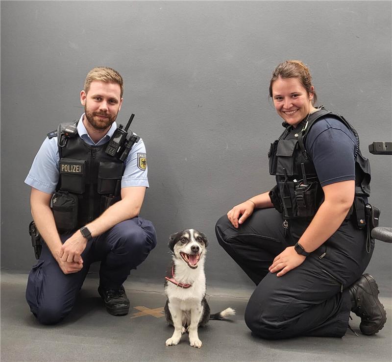 Zwei Bundespolizisten kümmerten sich sehr gerne um den süßen Mischlingshund. Foto: Bundespolizeiinspektion Hamburg