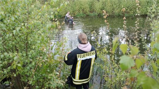 Feuerwehrleute durchsuchen Regenrückhaltenbecken.