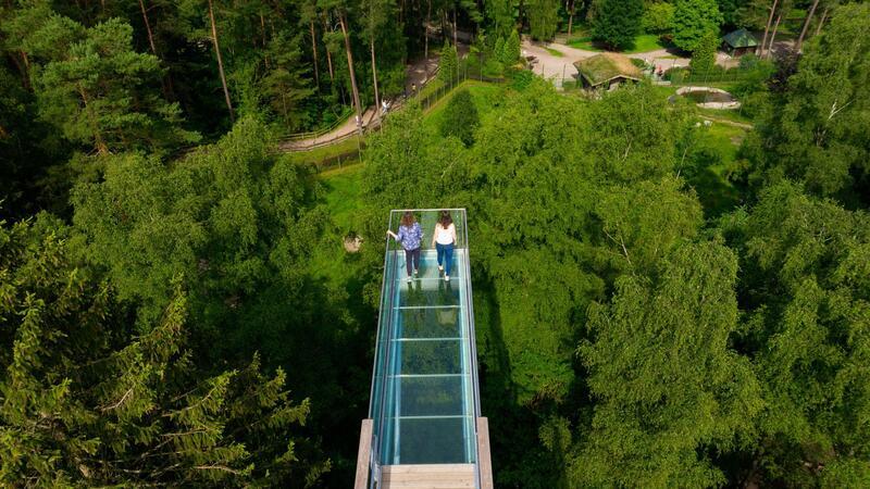 Zwei Frauen gehen auf dem Baumwipfelpfad über den gläsernem Skywalk.