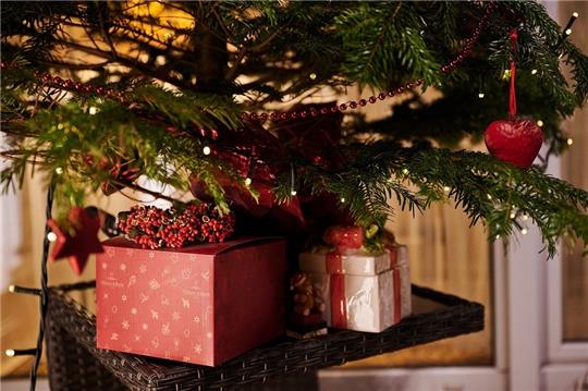 Zwei Geschenke stehen unter einem Weihnachtsbaum in einem Wintergarten. Foto: Annette Riedl/dpa