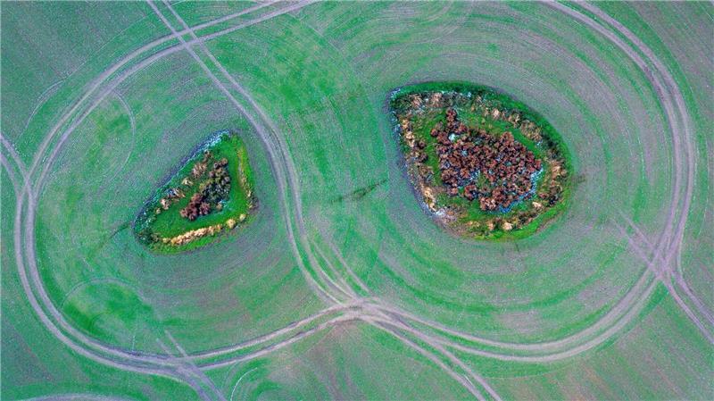 Zwei Inseln auf dem Feld - Landwirtschaft von oben