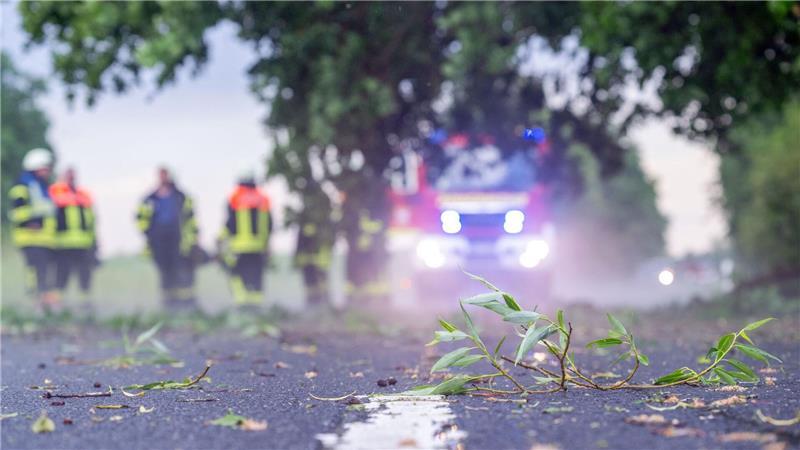 Unwetter ziehen über Deutschland - zwei Tote im Südwesten Zweige und Äste fielen auf Straßen.