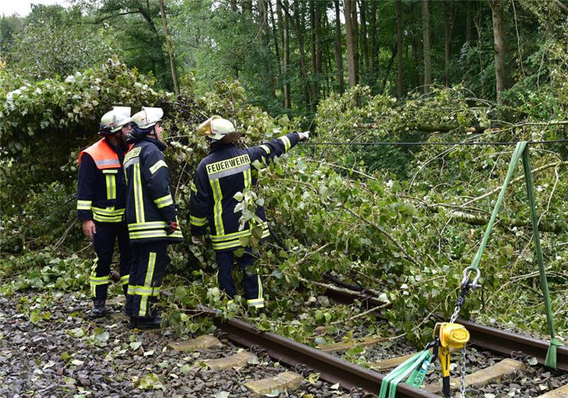 Zwischen Agathenburg und Dollern hat ein umgestürzter Baum die Oberleitung der Bahnstrecke zerstört. Fotos: Beneke