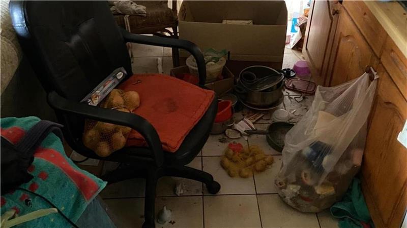 Zwischen Möbeln und Müll liegen sogar Lebensmittel, und die gesamte Wohnung ist seit Jahren vernachlässigt und dunkel.