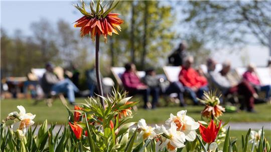 Zwischen Sonne und Schauern zeigt sich der Frühling wechselhaft. (Archivbild)