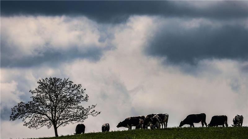 Zwischen dem Alpenrand und der Lausitz werden laut DWD am Montag teils starke Gewitter erwartet. (Archivbild)