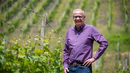 Zwischen den Riesling-Reben: Abseits des Fernsehstudios ist Günther Jauch gerne auf seinem Weingut an der Saar. (Archivbild)