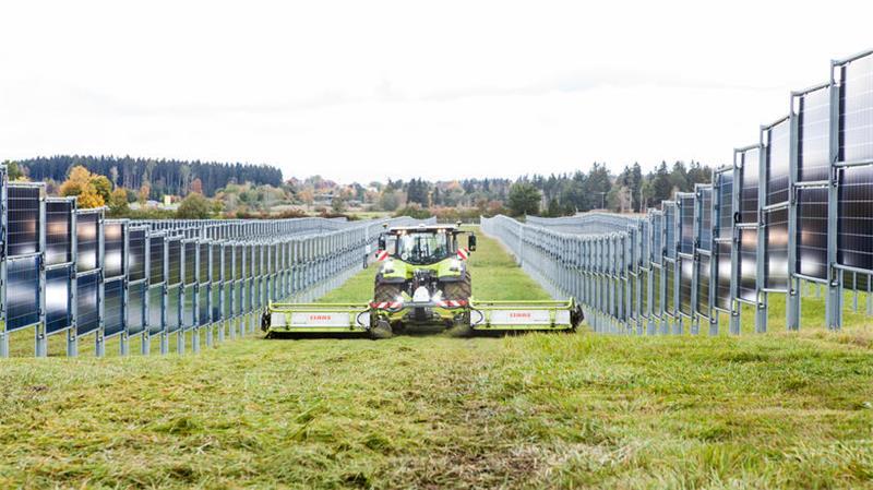 Zwischen den vertikalen Anlagen ist genug Platz für die Landwirtschaft.