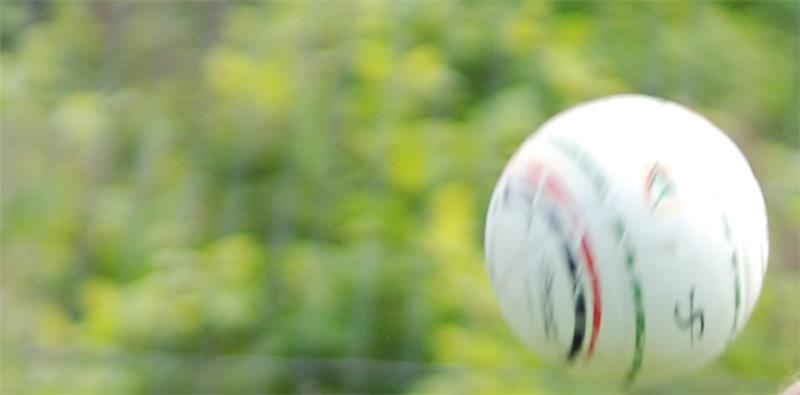 Düdenbüttel verliert das Pokalfinale, Armstorf siegt Zwölf Aktive aus dem Kreis Stade treten im Faustball-Europapokal an.