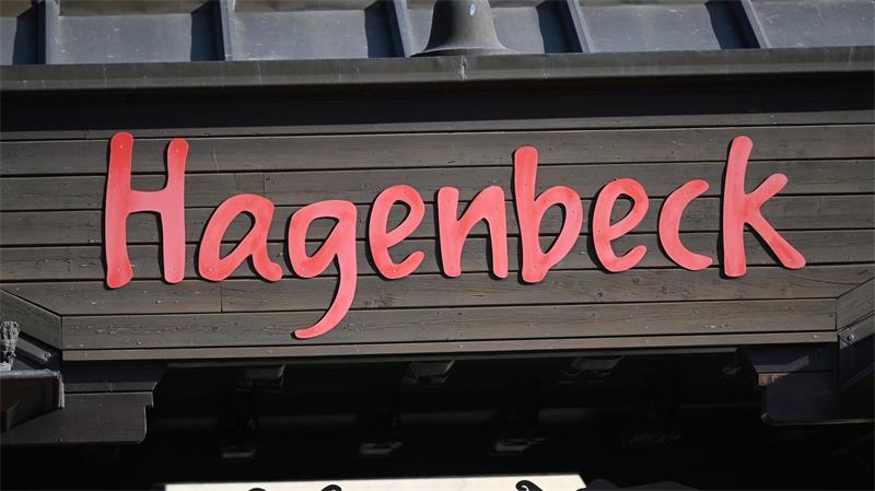 Zwölf Dinosaurier-Skulpturen im Tierpark Hagenbeck müssen restauriert werden.