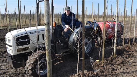 Zwölf Liter Wasser bekommt jeder der gepflanzten Apfelbäume zum Start, Obstbauer Nick Köpcke verteilt es mit dem Lamborghini-Traktor.