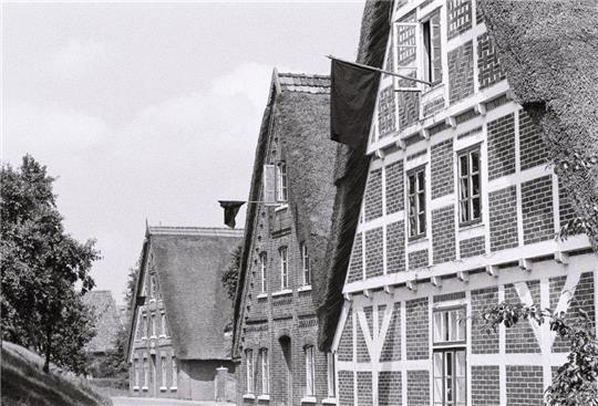 chwarze Fahnen gegen niedrige Preise und Importe nach der EWG- Marktöffnung. Fotos: Altländer Archiv