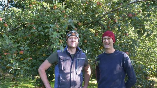 ie Apfelernte ist in diesem Jahr gut. Noch wird es einige Zeit dauern, bis Ingo Meinke und Ulrich Brändle Saft aus eigenem Obst im großen Stil herstellen können.