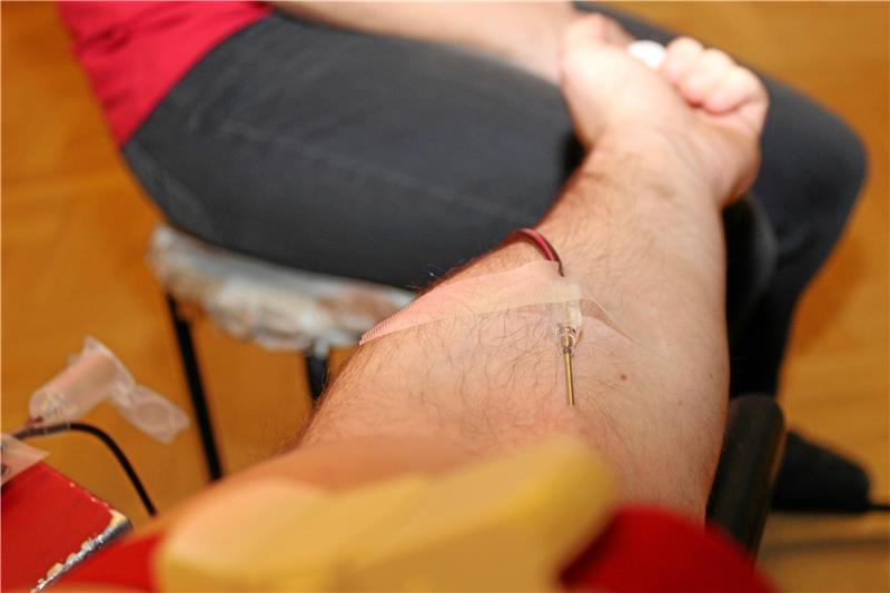 <p>Die Nadel steckt, das Blut fließt – zwischen fünf und zwölf Minuten dauert die eigentliche Blutentnahme. Fotos: Steigleder</p>