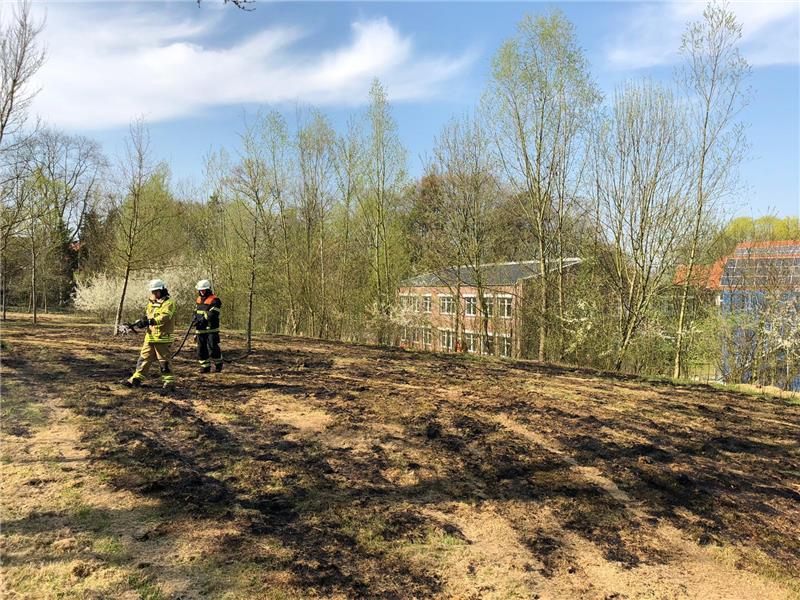 <p>Feuerwehrleute löschen den Flächenbrand an der Hauptschule Thuner Straße in Stade. Foto Feuerwehr</p>