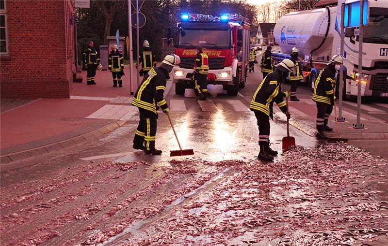 <p>Mit Besen und Schaufeln haben die Feuerwehrleute die breiige Fisch-Masse von der Fahrbahn in Himmelpforten entfernt. Foto:Hillyer-Funke/Feuerwehren Samtgemeinde Oldendorf-Himmelpforten</p>