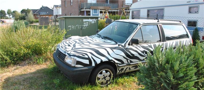 <p>Sorgt für Ärger: Das "Zebra-Auto". Foto: Lohmann</p>