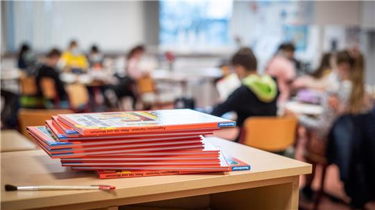 <p>Vom Zeugnis enttäuscht: Kriegen Schüler mit oder ohne Schulnoten ein besseres Feedback? Experten streiten darüber. Foto: Hartmann<br></p>